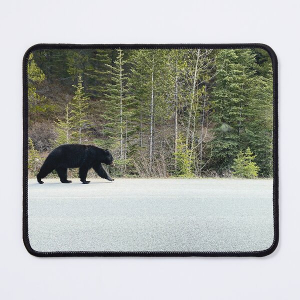 Item preview, Black bear walks alongside the road in Jasper National Park, Canada designed and sold by MostSplendid.