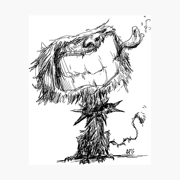 Scruffy Dog Photographic Print