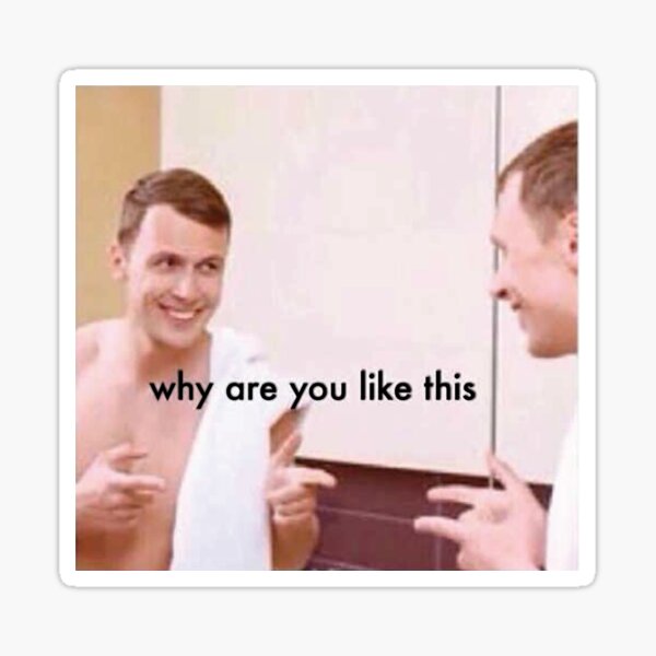 Why Are You Like This Meme