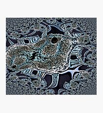 Amoeba Photographic Print