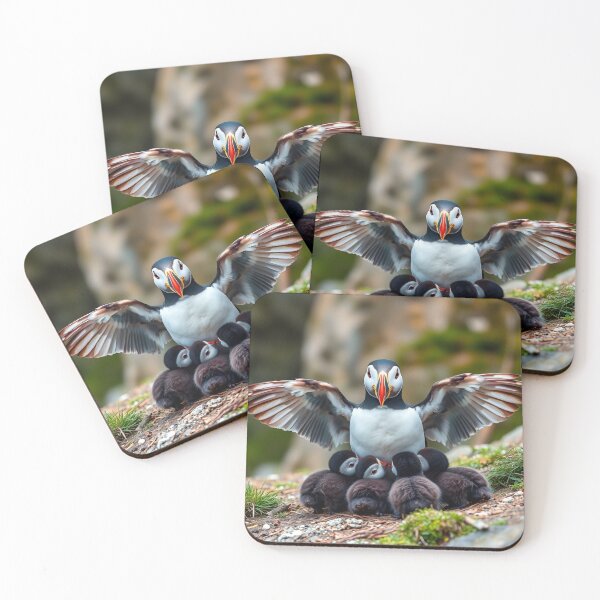 Item preview, Puffin and pufflings #3 designed and sold by EMCGallery.