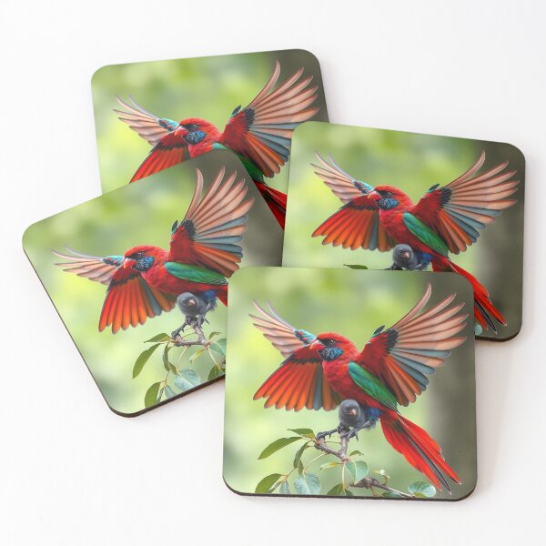 Item preview, Rosella #1 designed and sold by EMCGallery.