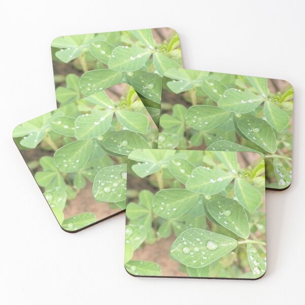 Item preview, Drop of DEW designed and sold by Priyanka  Rishi.