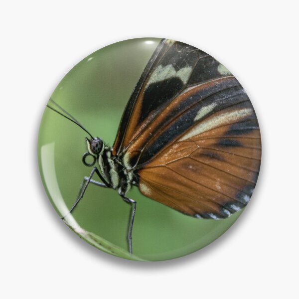 Item preview, Close-Up of a Potted Butterfly on a Leaf designed and sold by David Patterson.