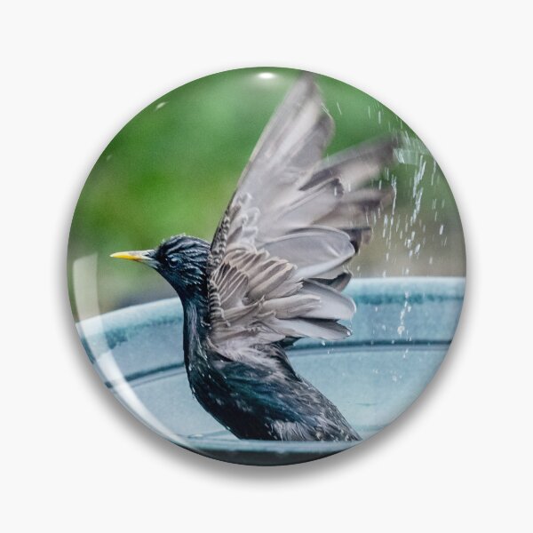 Item preview, Bird Bath Bliss, Splashing around designed and sold by David Patterson.