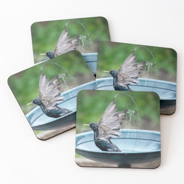 Item preview, Bird Bath Bliss, Splashing around designed and sold by David Patterson.