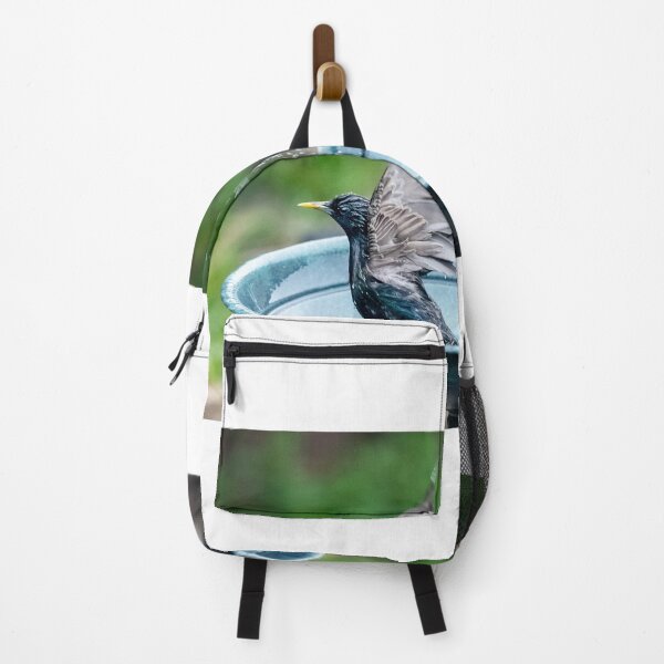 Item preview, Bird Bath Bliss, Splashing around designed and sold by David Patterson.