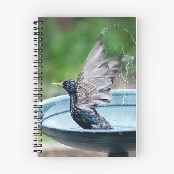 Item preview, Bird Bath Bliss, Splashing around designed and sold by David Patterson.