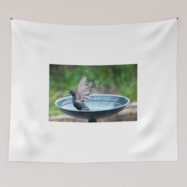 Item preview, Bird Bath Bliss, Splashing around designed and sold by David Patterson.
