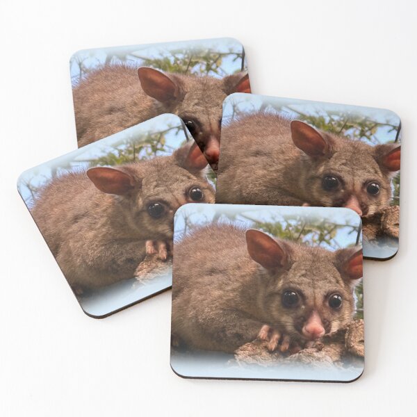 Item preview, Common brushtail possum designed and sold by indiafrankk.