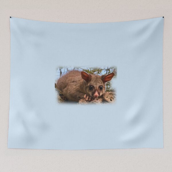 Item preview, Common brushtail possum designed and sold by indiafrankk.