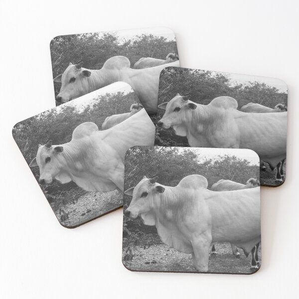 Item preview, Nelore cattle designed and sold by felipequeiroz.