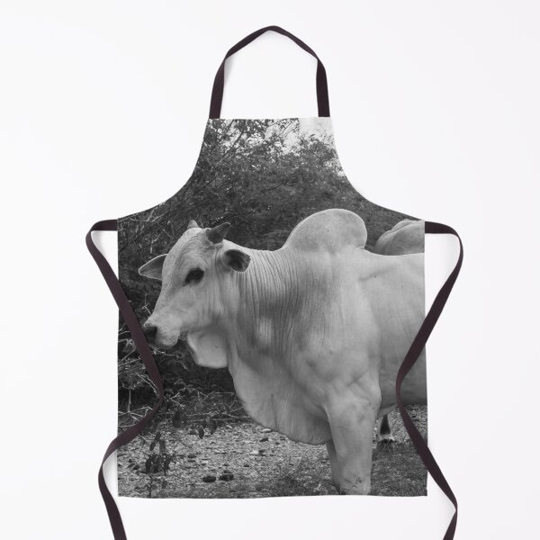 Item preview, Nelore cattle designed and sold by felipequeiroz.
