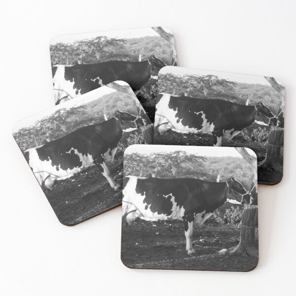 Item preview, Dutch cow in the corral designed and sold by felipequeiroz.