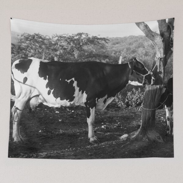 Item preview, Dutch cow in the corral designed and sold by felipequeiroz.