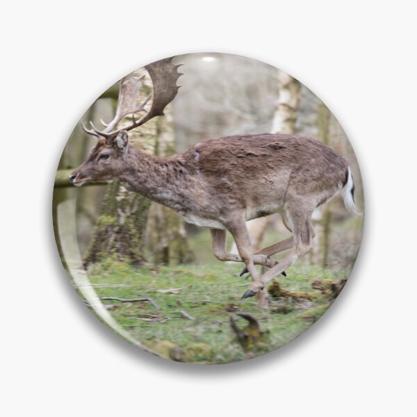 Item preview, Majestic Deer in Motion designed and sold by David Patterson.