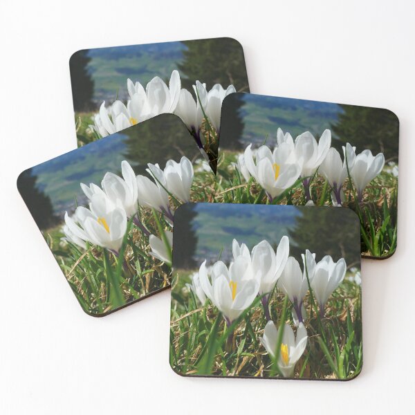Item preview, corkscrews on the meadow designed and sold by ChicVoyagePics.
