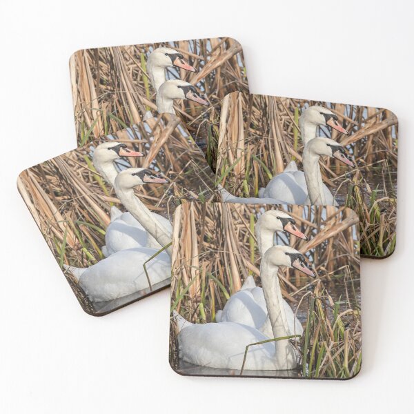 Item preview, Graceful Swans in the Reeds At a Nature Reserve designed and sold by David Patterson.