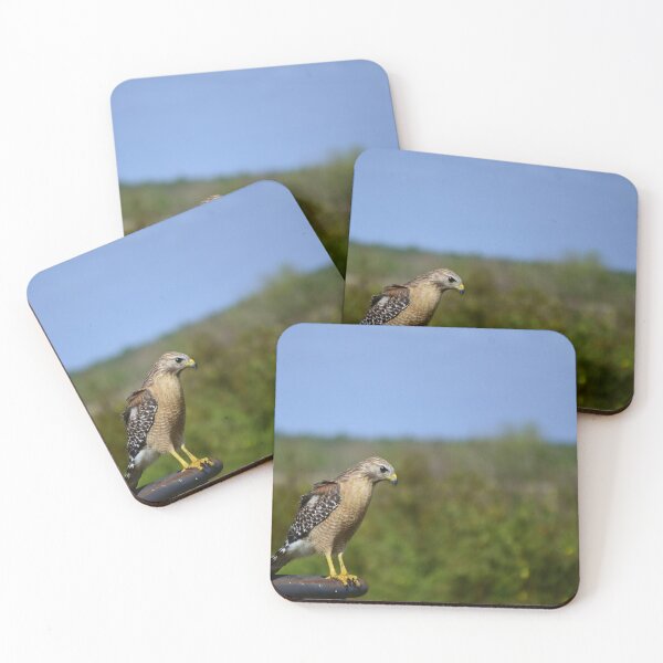 Item preview, Red-Shouldered Hawk On Lake Apopka Wildlife Drive  designed and sold by MercerImages.