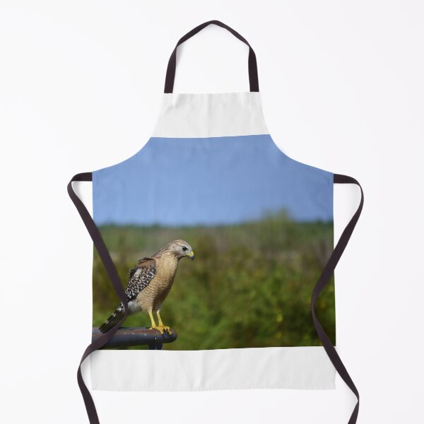 Item preview, Red-Shouldered Hawk On Lake Apopka Wildlife Drive  designed and sold by MercerImages.
