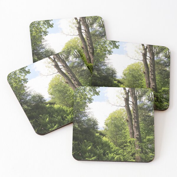 Item preview, Forest Vestibule designed and sold by RVogler.