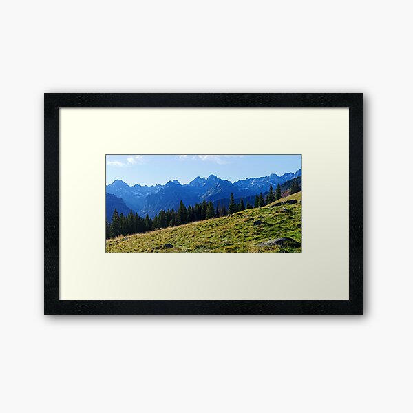 Framed Art Print