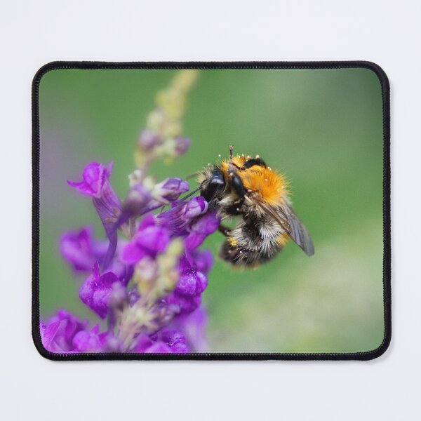 Item preview, No time to bumble - I'm hard at work! designed and sold by Kasia Design.