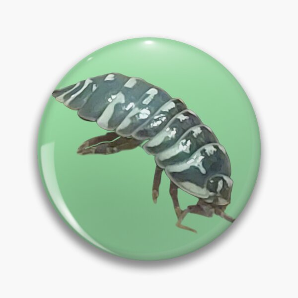 Item preview, Armadamillium masculatum - Zebra isopod designed and sold by edgethesketch.