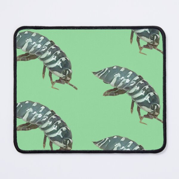 Item preview, Armadamillium masculatum - Zebra isopod designed and sold by edgethesketch.
