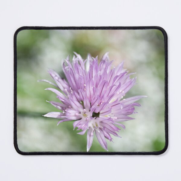 Item preview, Delicate Summer Flower designed and sold by Kasia Design.