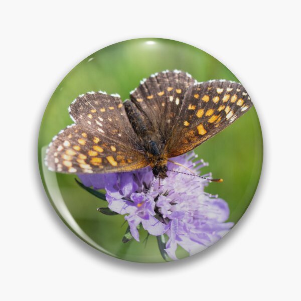 Item preview, Fritillary enjoying the Nectar designed and sold by Kasia Design.