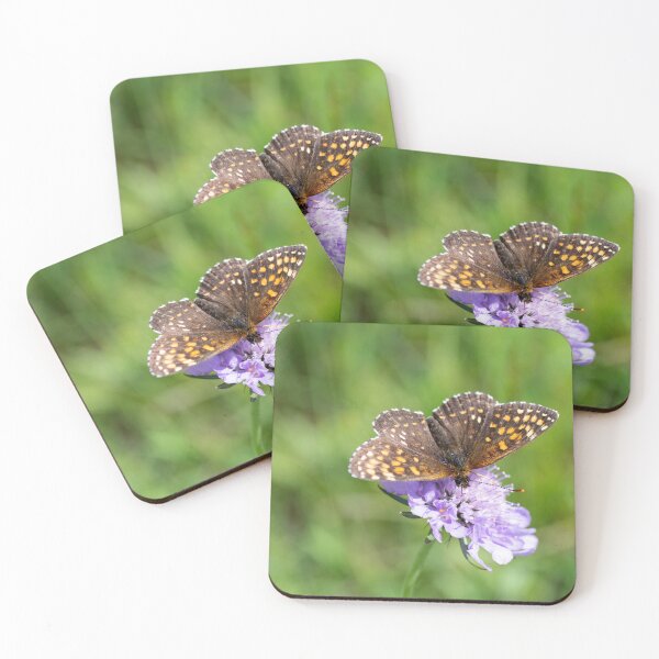 Item preview, Fritillary enjoying the Nectar designed and sold by Kasia Design.