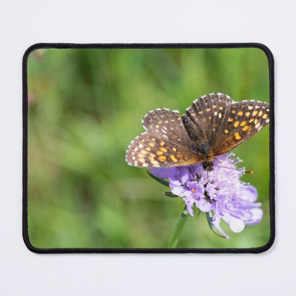 Item preview, Fritillary enjoying the Nectar designed and sold by Kasia Design.