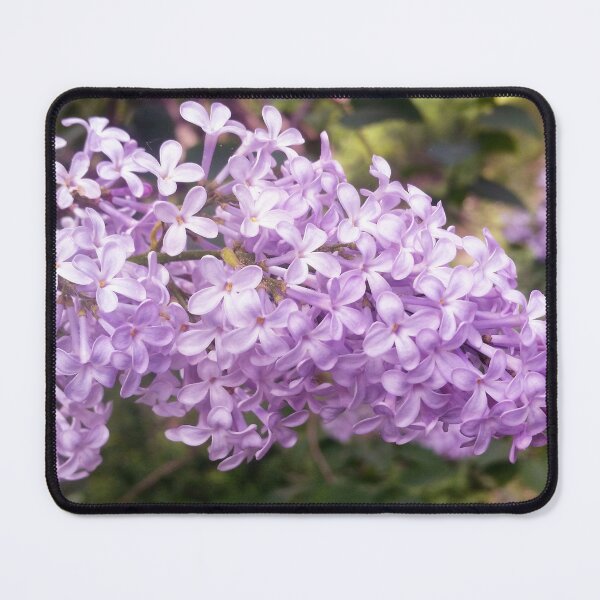 Item preview, Lovely Lilac designed and sold by Kasia Design.