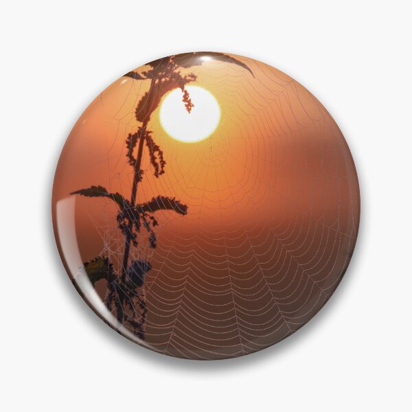 Item preview, With morning dew there are always great spider webs and sun then the picture is perfect designed and sold by Pietschi2022.