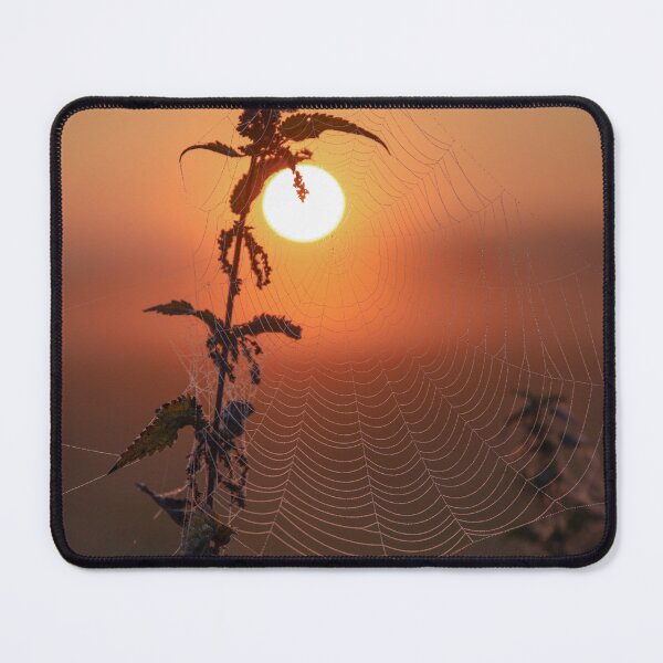 Item preview, With morning dew there are always great spider webs and sun then the picture is perfect designed and sold by Pietschi2022.