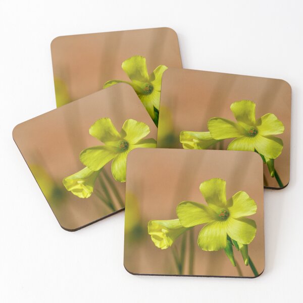 Item preview, African wood-sorrel designed and sold by Eidetic Photos.