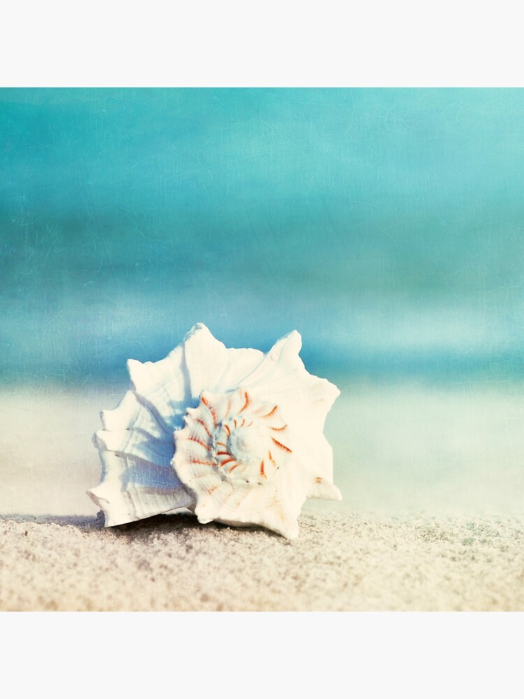 "Paradise" - Aqua Beach Seashell by CarolynJC