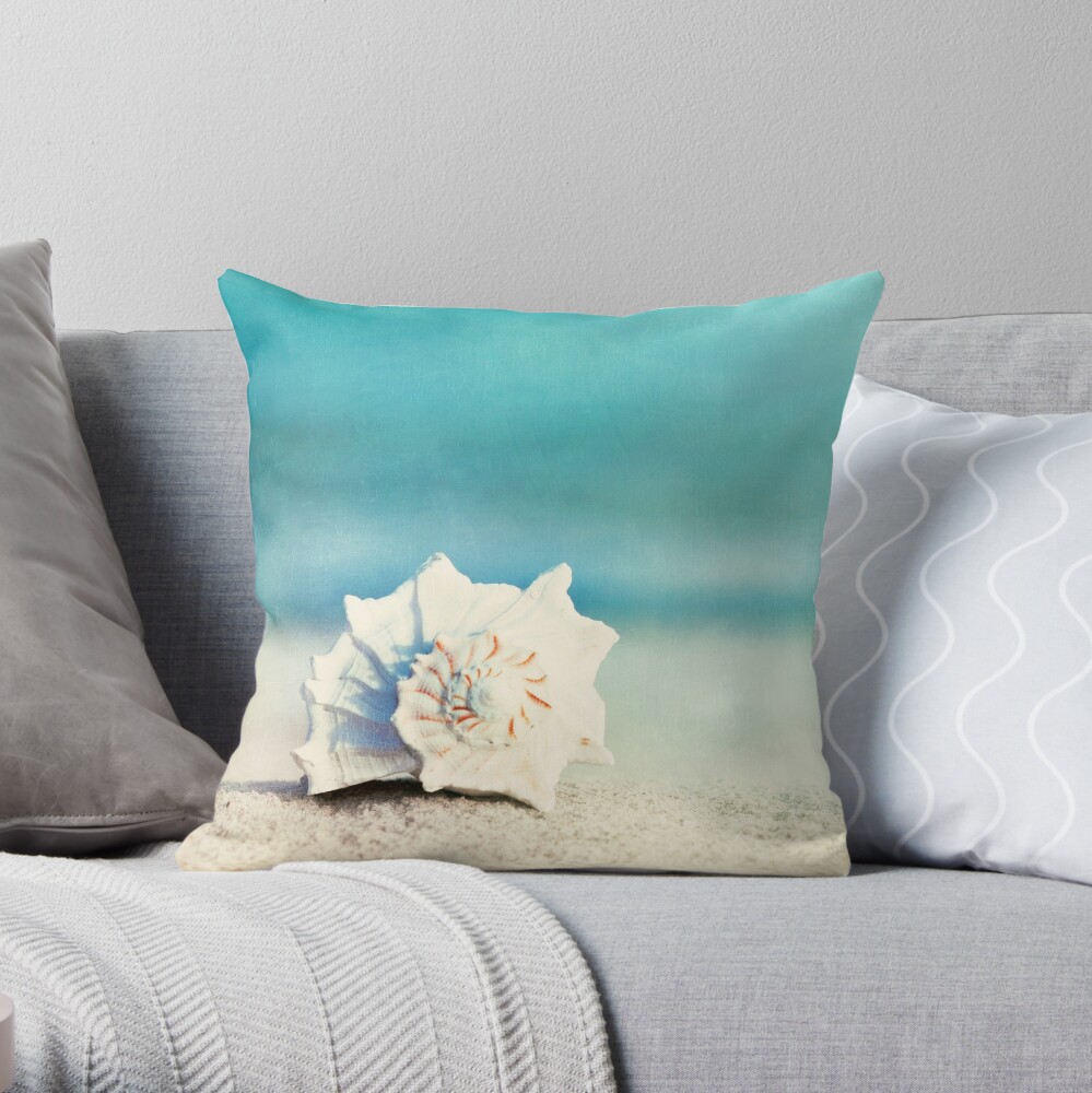 aqua throw pillows