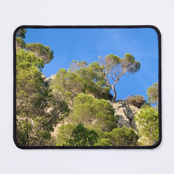 Item preview, Macchia Mediterranea Maquis Shrubland Sunny Green Pines designed and sold by Quoppidou.
