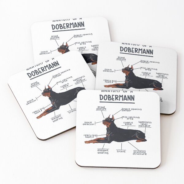 Item preview, Anatomy of a Dobermann designed and sold by alies-art.