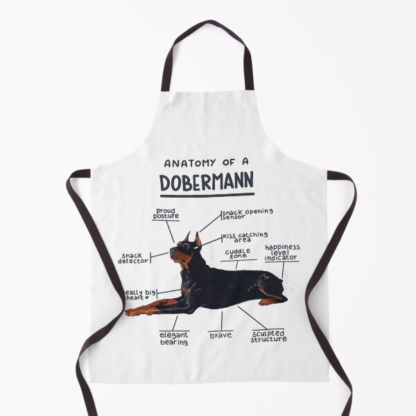 Item preview, Anatomy of a Dobermann designed and sold by alies-art.