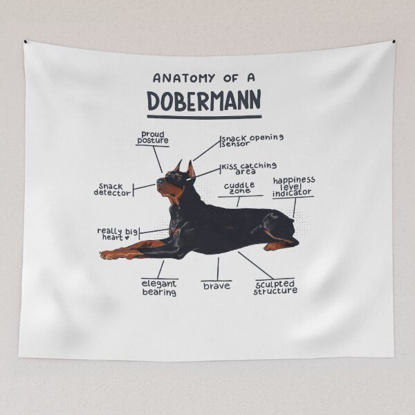 Item preview, Anatomy of a Dobermann designed and sold by alies-art.