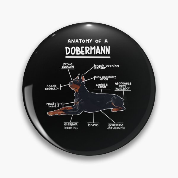 Item preview, Anatomy of a Dobermann designed and sold by alies-art.