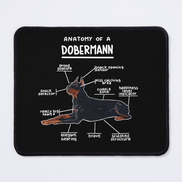 Item preview, Anatomy of a Dobermann designed and sold by alies-art.