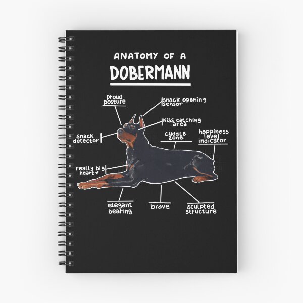 Item preview, Anatomy of a Dobermann designed and sold by alies-art.