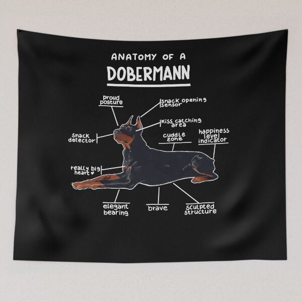 Item preview, Anatomy of a Dobermann designed and sold by alies-art.