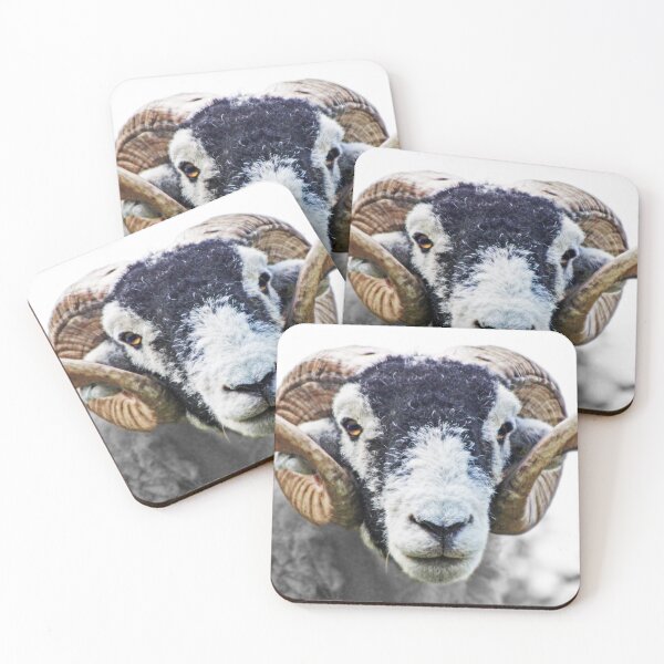 Item preview, Swaledale Ram designed and sold by Liz Lane.