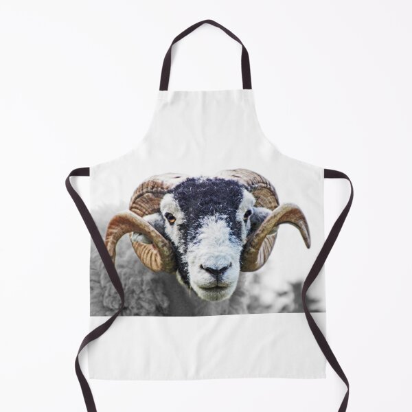 Item preview, Swaledale Ram designed and sold by Liz Lane.