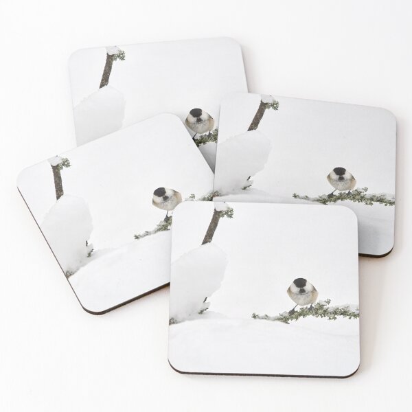 Item preview, Snowfields. Willow tit designed and sold by Jouko Lehto Photography.